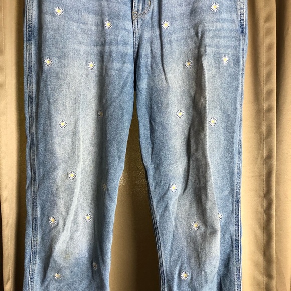 Hollister Daisy Patch Skinny Jeans - Picture 3 of 10